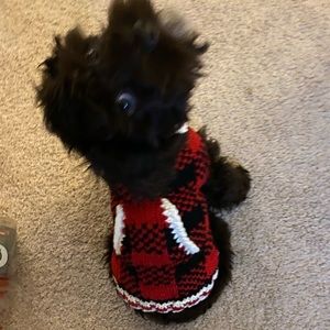 Red dog sweater